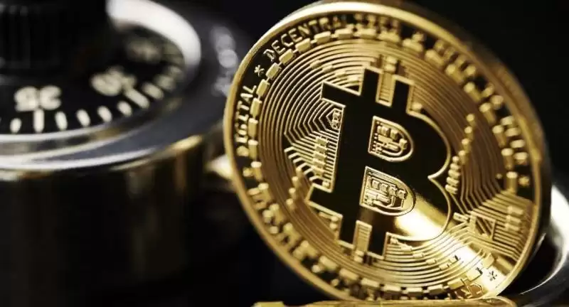 美元稳定币和比特币的关系究竟是什么？区别是什么？