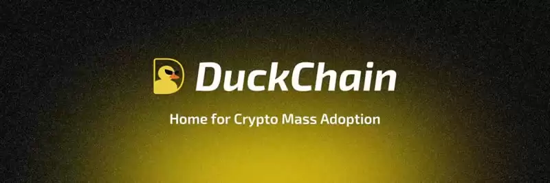 DuckChain(DUCK)币是什么？DUCK代币经济学及路线图详解