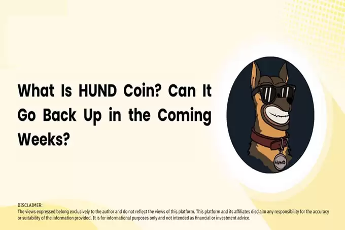 HUND 硬币是什么？它能在未来几周内回升吗？