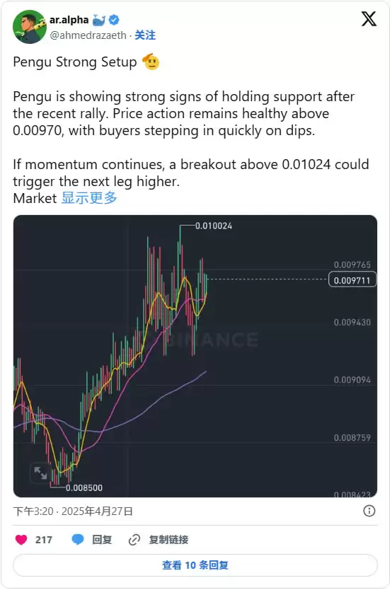 Pudgy Penguins(PENGU)币是什么?PENGU币空投及未来价格预测