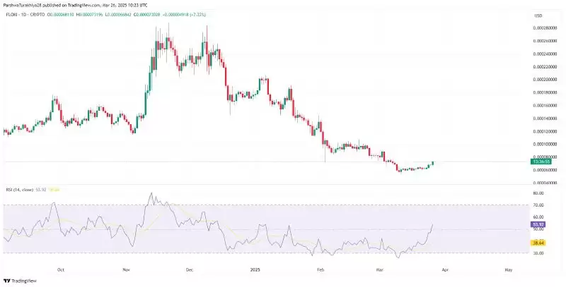 FLOKI币价格预测:会不会涨到1美元?(2025-2030)