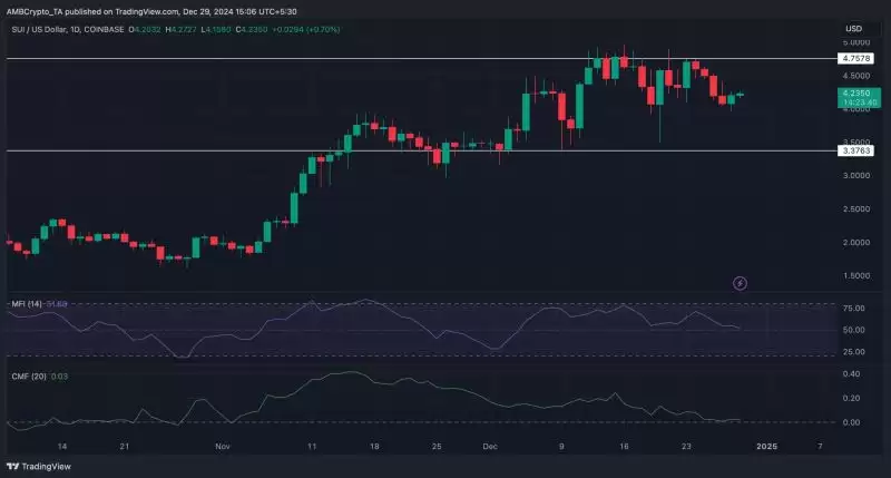 SUI币近期价格会上涨吗?SUI代币将走向何方?