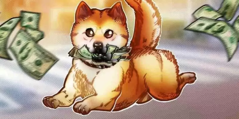 几年前买的狗狗币怎么找回?几年前买的狗狗币还能用吗?