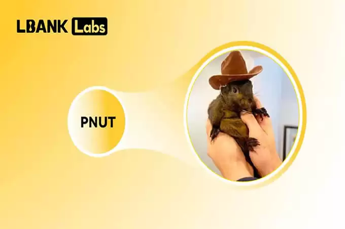 2025年热门的Meme币有哪些?十大热门Meme币盘点