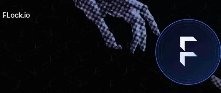 FLOCK币上线交易所有哪些？FLOCK币上线交易所盘点