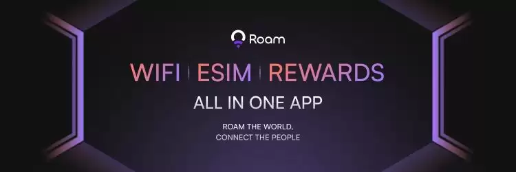 Roam网络介绍及工作原理