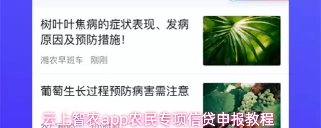 云上智农app农民专项信贷申报教程