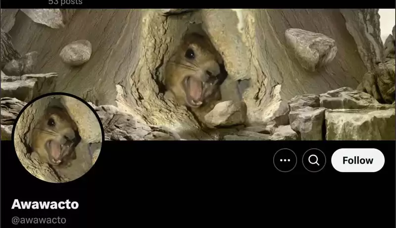 尖叫蹄兔模因币AWAWA是什么?AWAWA币如何买卖交易?