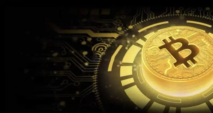 加密货币主网上线后价格上涨分析