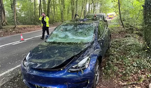 特斯拉Model 3被大树砸中护住乘员安全 车主又提新车支持马斯克