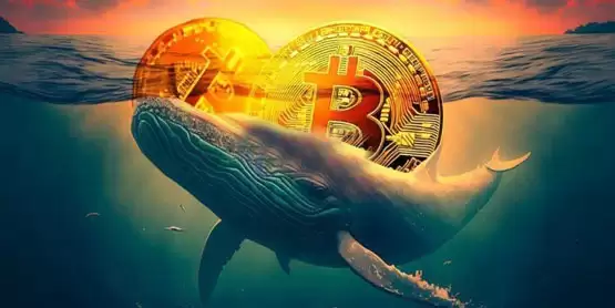 Glassnode：巨鲸大戶正进场抄底比特币！买盘之强劲为8个月来首見