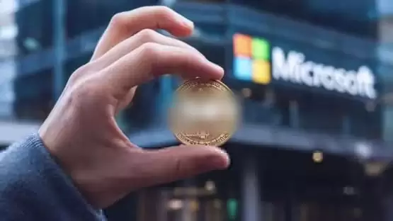 微软董事会否决投资比特币！网友：错误的选择