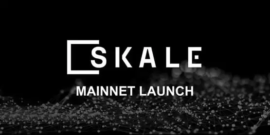 SKL币是哪个国家的？SKL币是国产币吗？