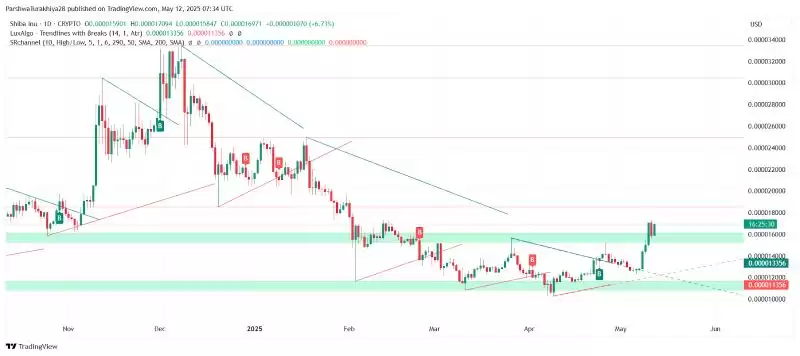 Shib币价格预测:交易所预测Shib暴涨4166567%,达到1美元
