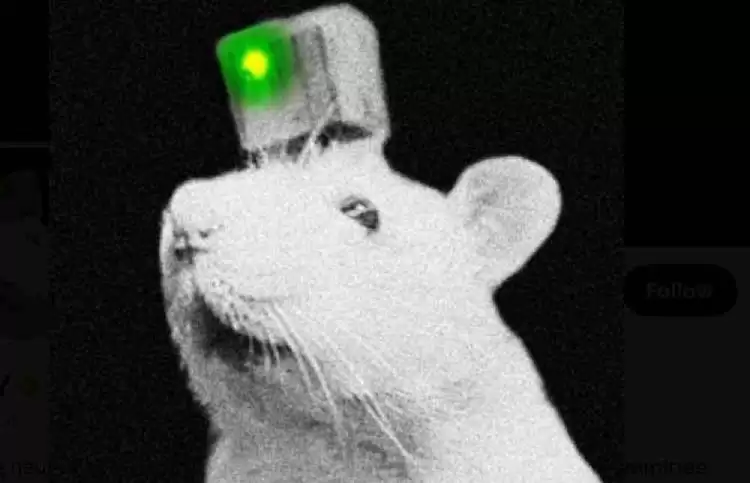 AI Memes板块币种有哪些?十大热门AI Memes板块币种