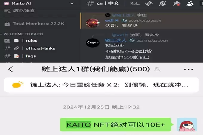Kaito项目选择策略