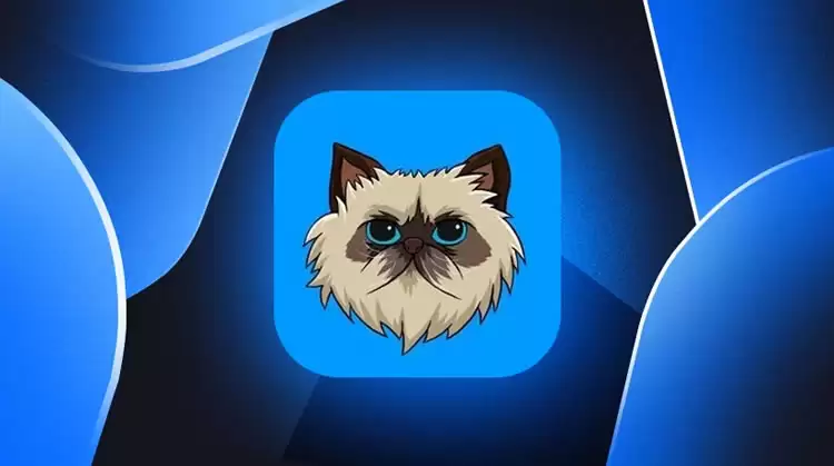 Mister Miggles(MIGGLES)币是什么?MIGGLES币值得投资吗?