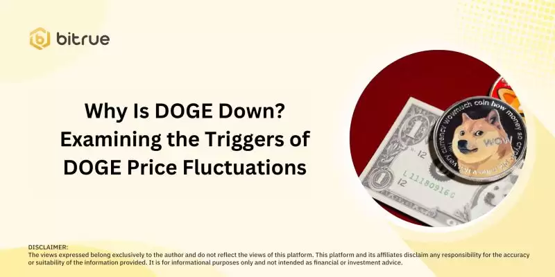 狗狗币为何下跌？DOGE币还有希望吗？DOGE币未来展望