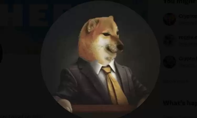 1000CHEEMS上线交易所有哪些?怎么买?1000CHEEMS币购买教程