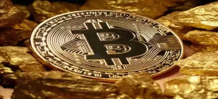 山寨币牛市一年涨多少倍？山寨币牛市涨幅分析