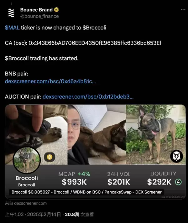 一文详解Broccoli币的起源、社群行为、风险与未来发展潜力