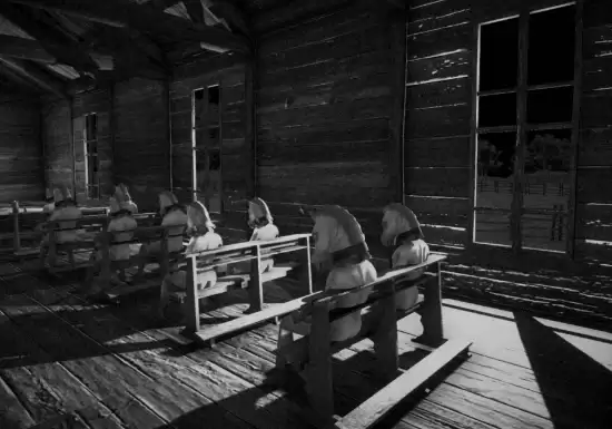 Horse遭Steam下架引发争议：涉法律红线还是审查过度？