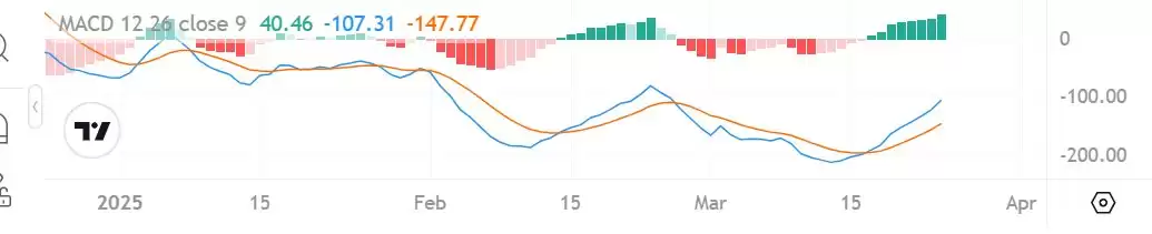 山寨币建仓十大指标:如何挑选潜力大的山寨币呢？