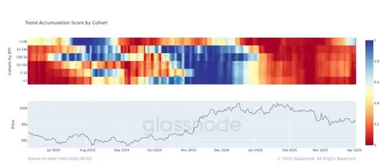 Glassnode：巨鲸大戶正进场抄底比特币！买盘之强劲为8个月来首見