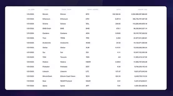 2025 年 1 月公链行业研报:比特币主导地位强化解读