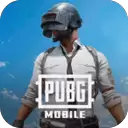 pubg手游美服