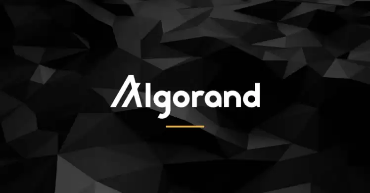 ALGO币未来如何？有可能复苏吗？2025-2030年ALGO币价格预测