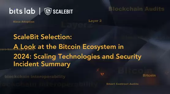 一文了解2025 比特币生态 扩展技术与安全事件汇总