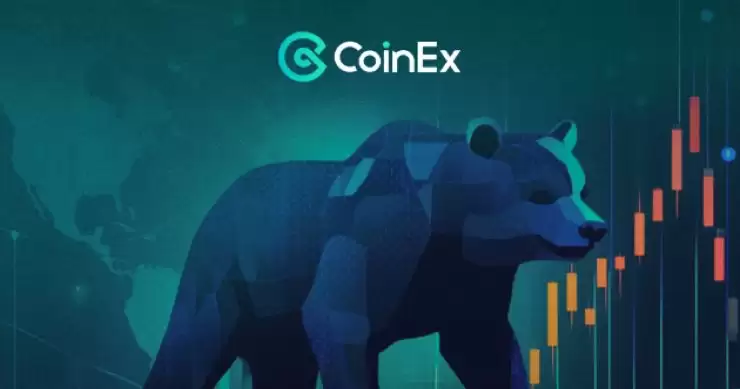 熊市怎么应对?如何在熊市中避免损失?