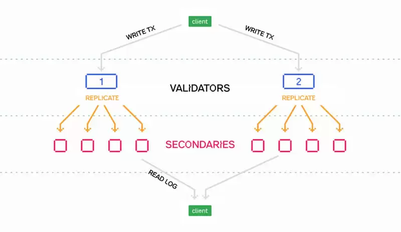 什么是Pod Network？Pod Network项目介绍、团队、融资