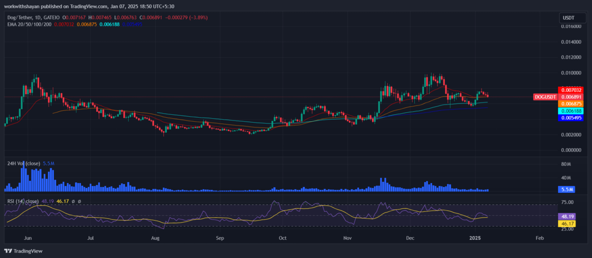 DogGoToTheMoon价格预测:DOG币价格真的会去月球吗？