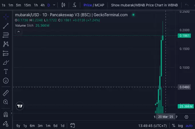 穆巴拉克模因币在币安创始人CZ的投资后价格走势