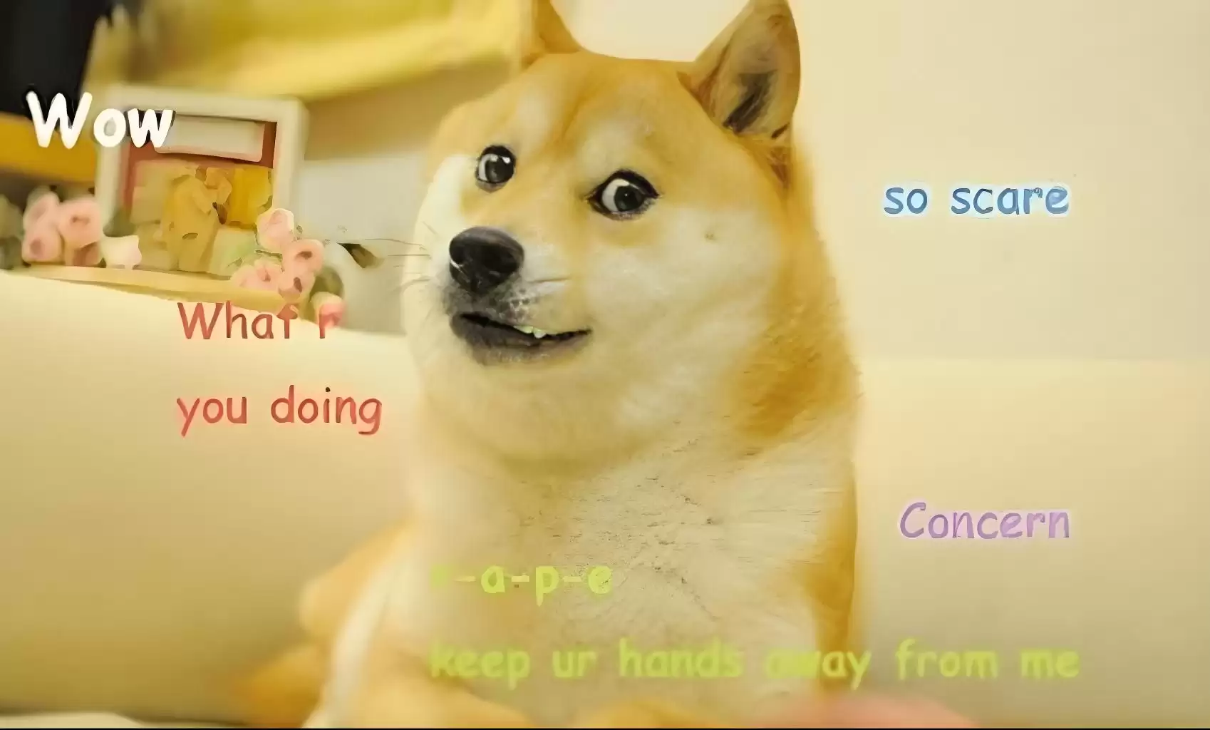 狗狗币未来前景与获利攻略全解