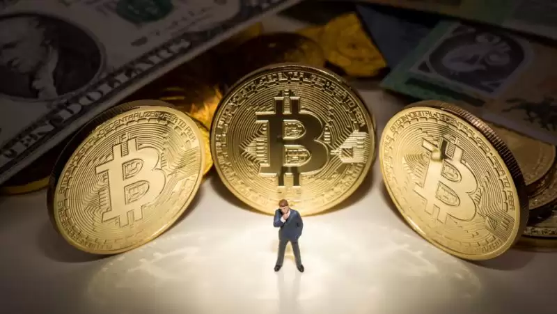 MetaMAFIA(MAF)币是什么币?MAF价格走势分析