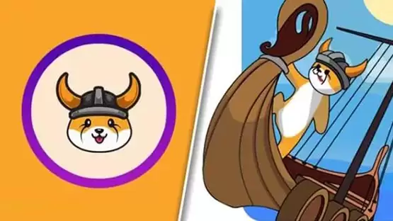 FLOKI币是百倍币吗？FLOKI币2025年有可能成为万倍币吗？