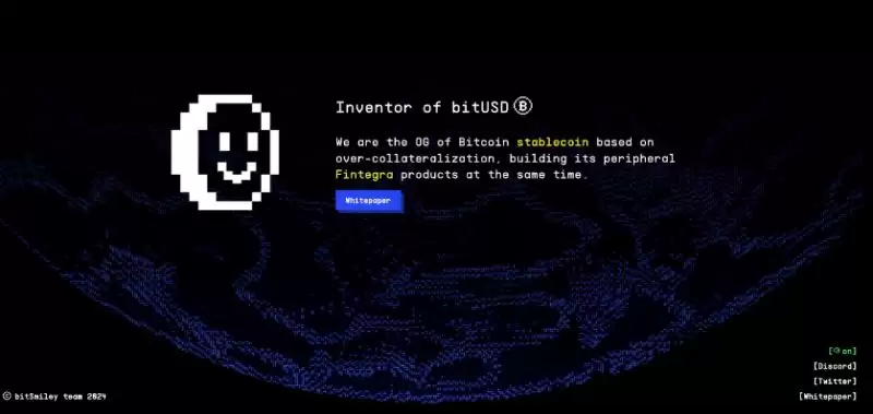 bitSmiley未来前景如何?bitSmiley10倍回报是真的吗?