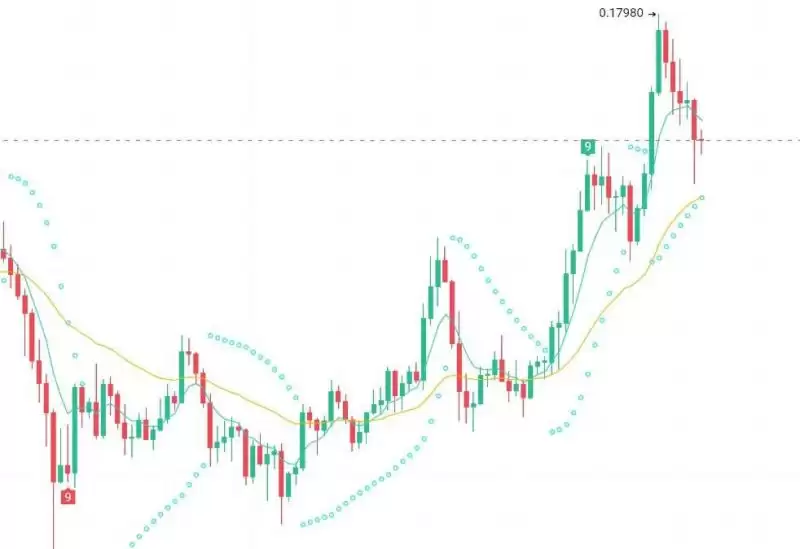 美大选后有哪些值得炒作的加密货币？