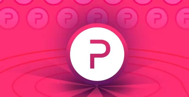POLYX币未来前景如何？会涨到100美金吗？会不会是百倍币？