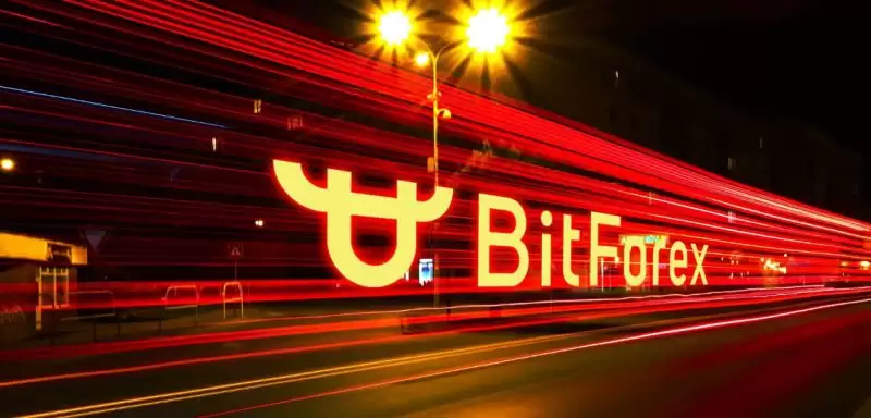 2025年最正规柴犬币交易所有哪些?柴犬币交易APP排名