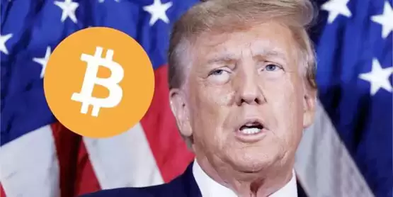 Polymarket预测特朗普领先哈里斯20%！与比特币走势呈正相关性