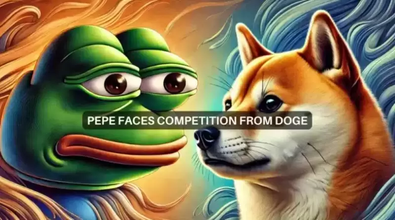 DOGE币涨至1美元,还有值得关注的meme币吗?