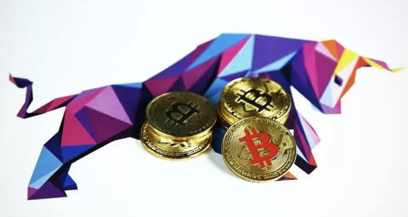 什么是PayFi新支付？盘点值得关注的5个PayFi Web3支付项目