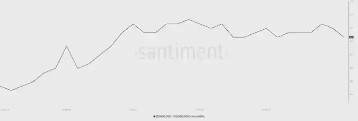 卡尔达诺鲸鱼持仓变化