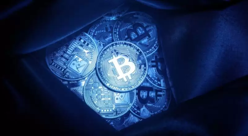 Movement是什么？深度解析拥有明星投资阵容的Movement