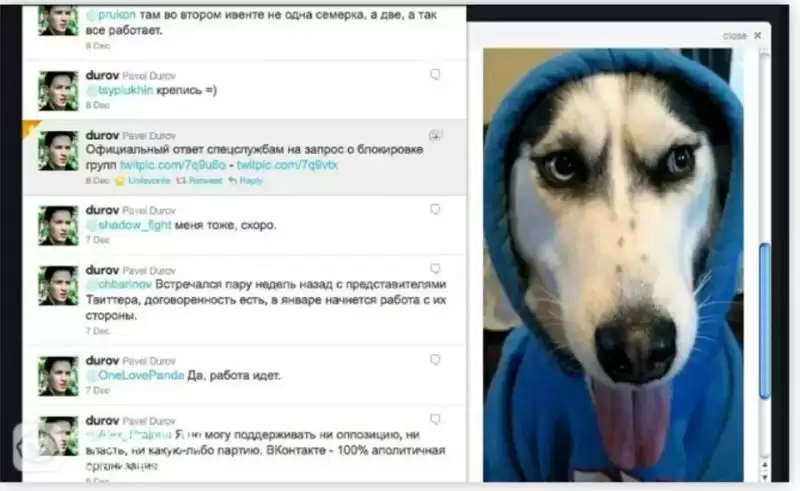 REDO币是什么?币安TON力推 抵抗狗REDO暴涨超250%