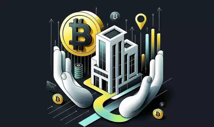 主流币走势影响因素分析